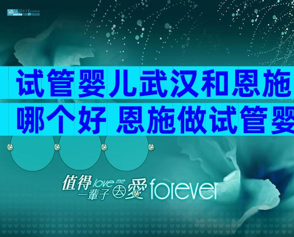 试管婴儿武汉和恩施哪个好 恩施做试管婴儿怎么样
